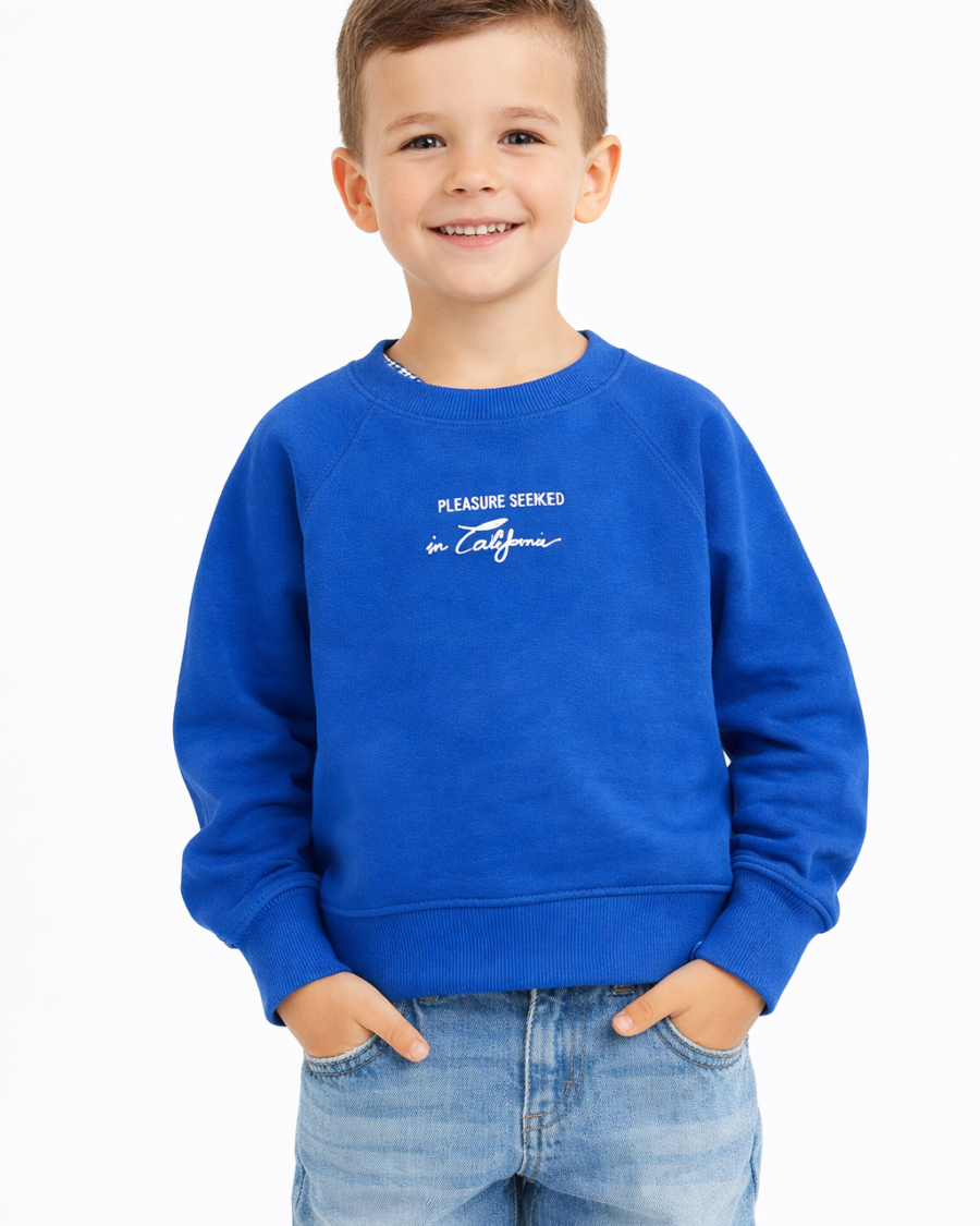 Suéter Azul Niño ZARA