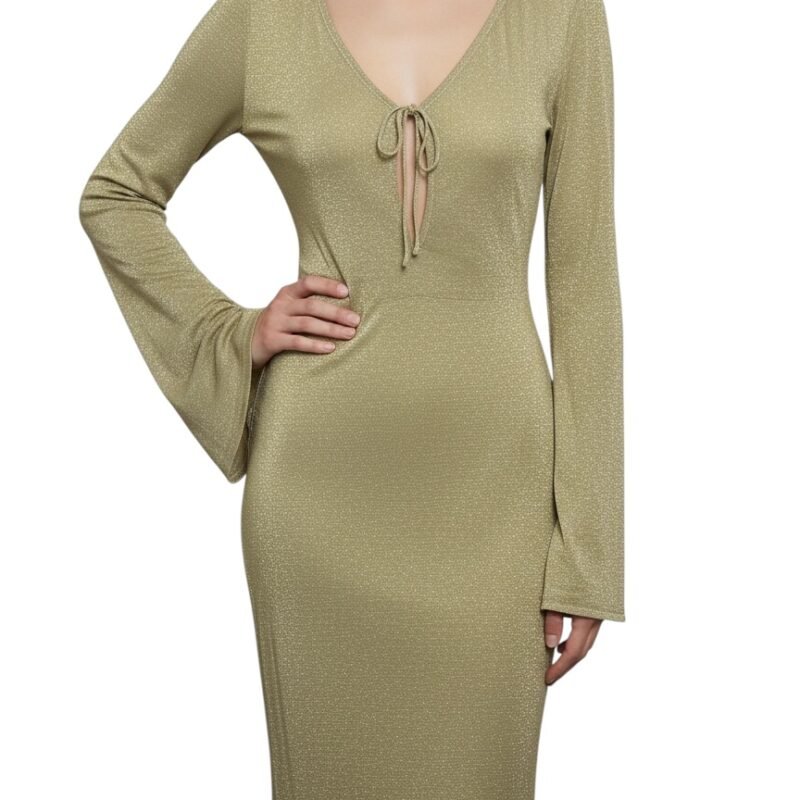 Vestido Golden Glam MESHKI